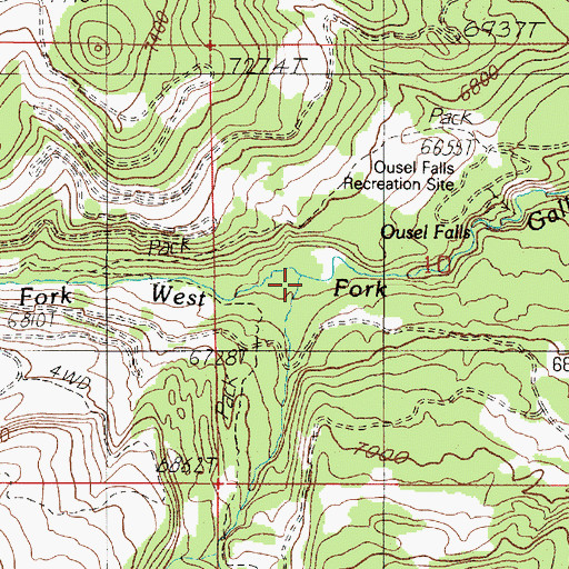 Topographic Map of First Yellow Mule Creek, MT