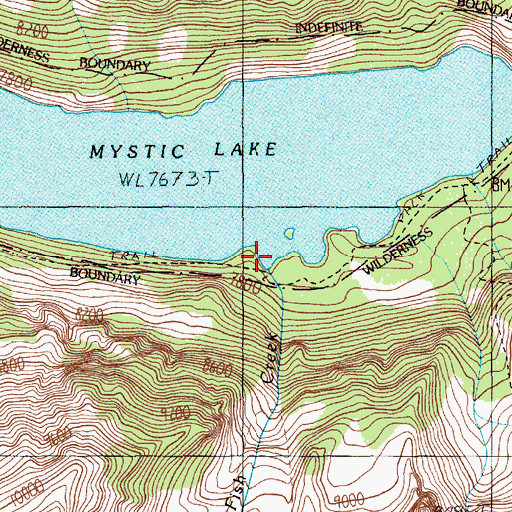 Topographic Map of Fish Creek, MT