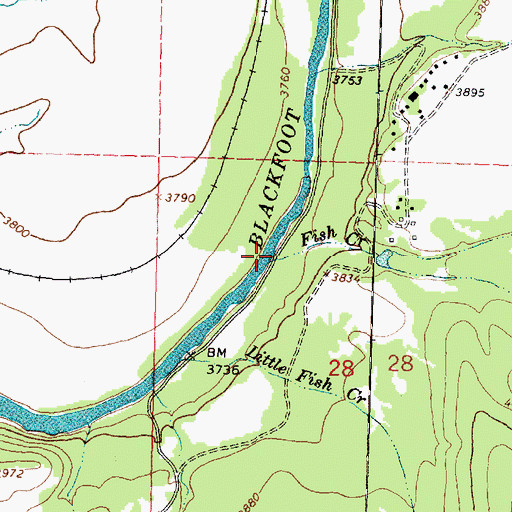 Topographic Map of Fish Creek, MT