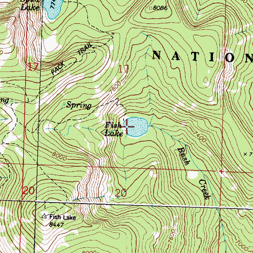 Topographic Map of Fish Lake, MT