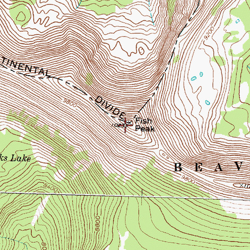 Topographic Map of Fish Peak, MT