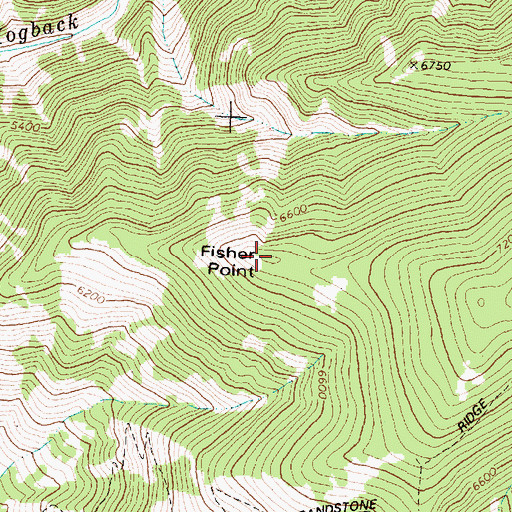 Topographic Map of Fisher Point, MT