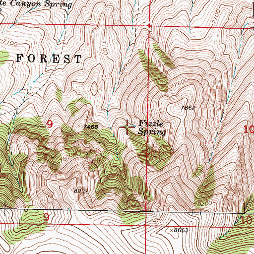 Topographic Map of Fizzle Spring, MT
