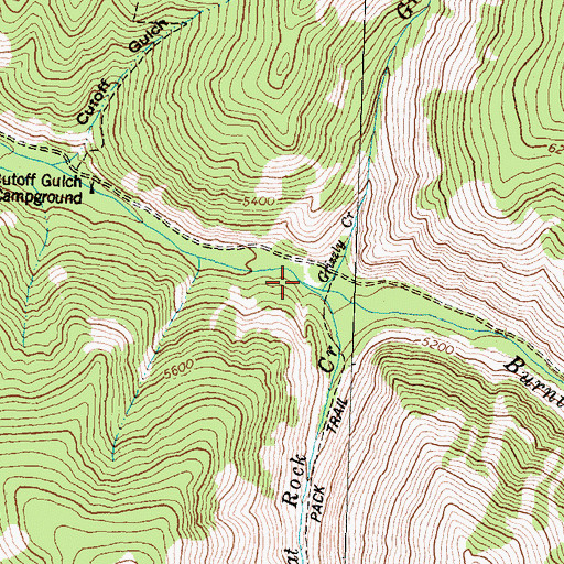 Topographic Map of Flat Rock Creek, MT