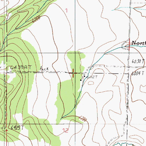 Topographic Map of Flathead Ranger Station, MT