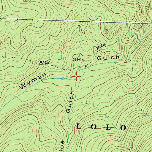 Topographic Map of Floe Gulch, MT