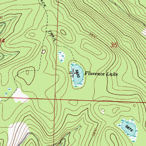 Topographic Map of Florence Lake, MT