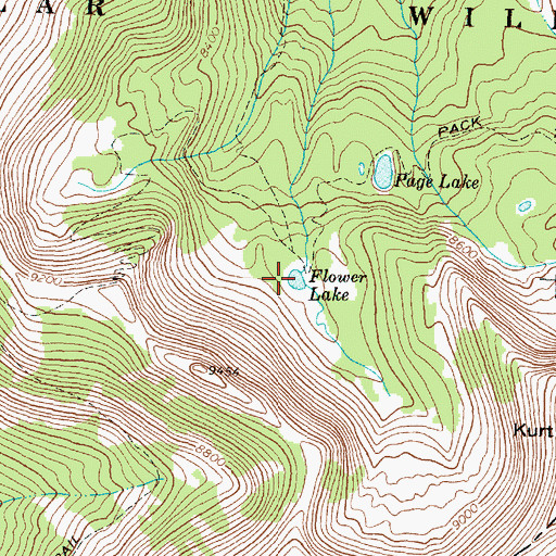 Topographic Map of Flower Lake, MT