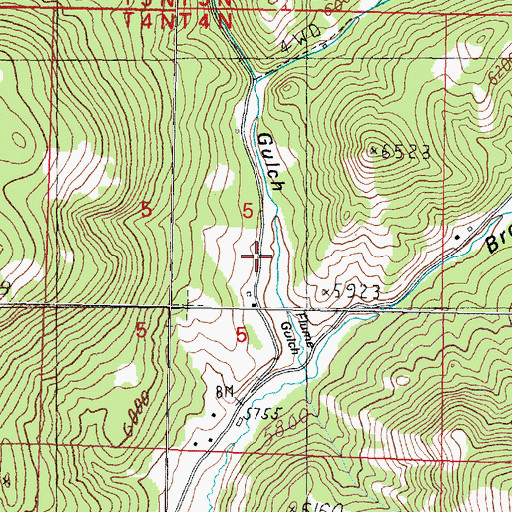 Topographic Map of Flume Gulch, MT