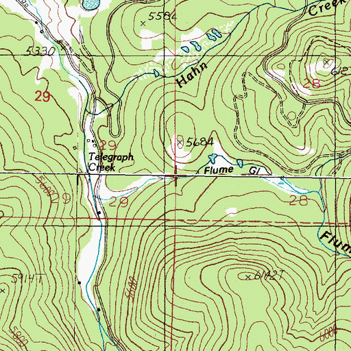 Topographic Map of Flume Gulch, MT