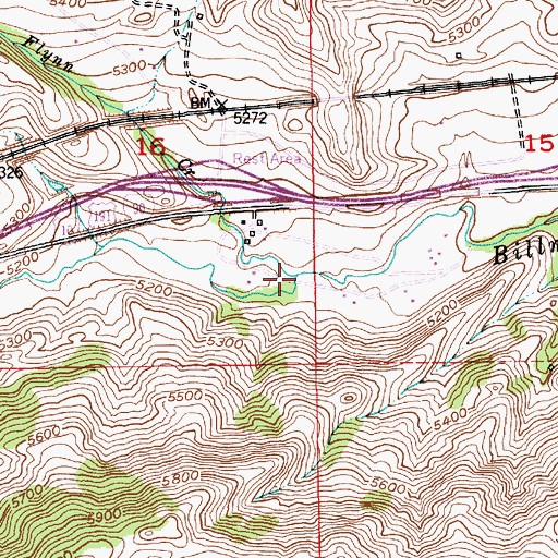 Topographic Map of Flynn Creek, MT