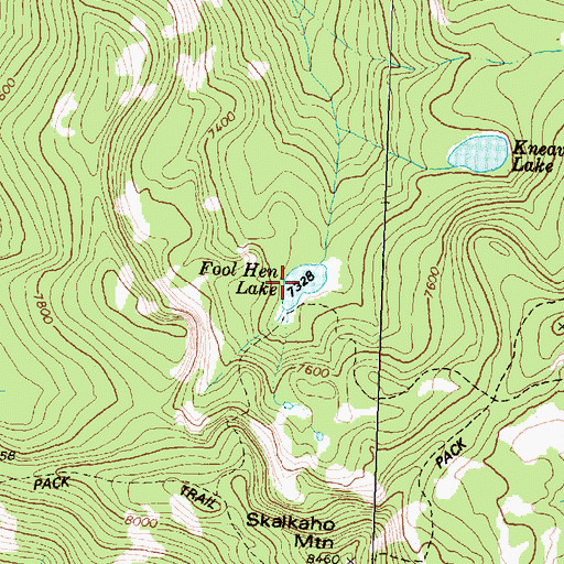 Topographic Map of Fool Hen Lake, MT