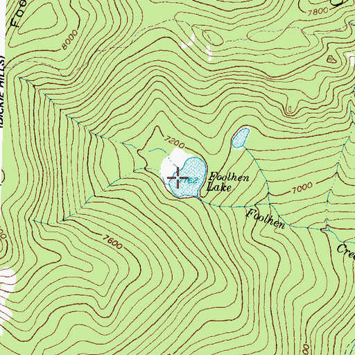 Topographic Map of Foolhen Lake, MT