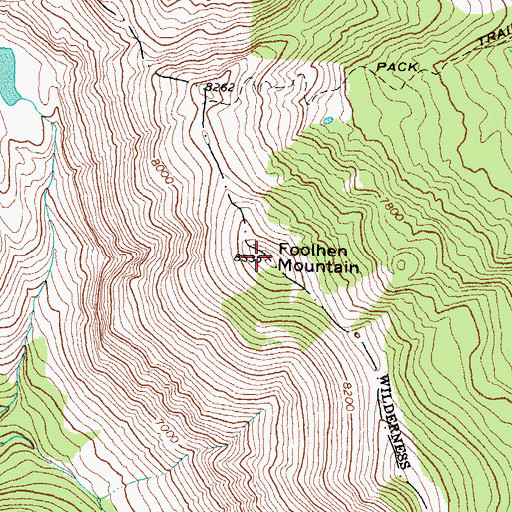 Topographic Map of Foolhen Mountain, MT