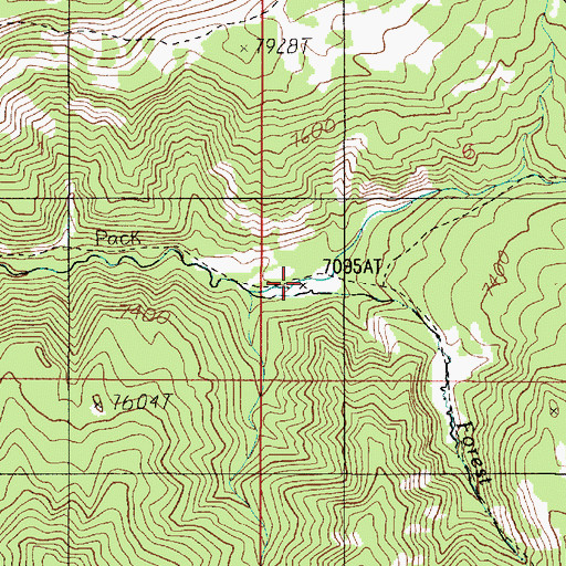 Topographic Map of Forest Creek, MT