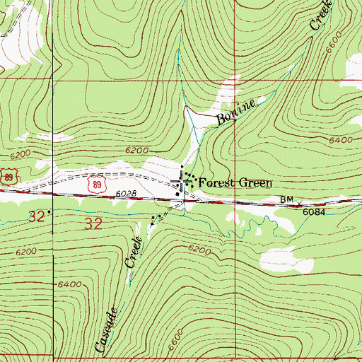 Topographic Map of Forest Green, MT