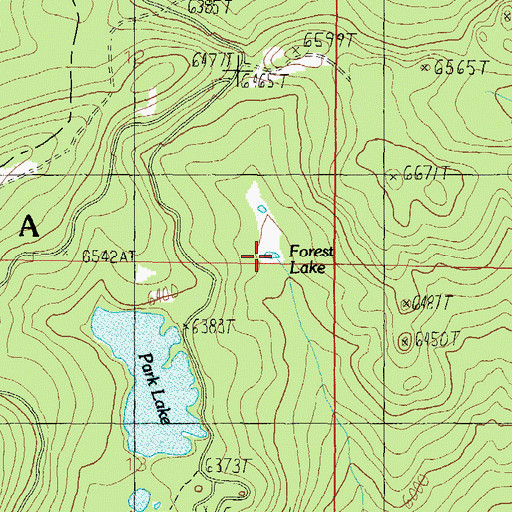 Topographic Map of Forest Lake, MT