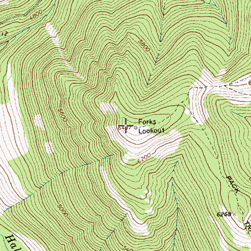 Topographic Map of Forks Lookout, MT