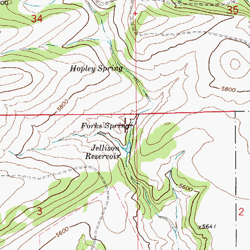 Topographic Map of Forks Spring, MT