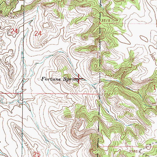 Topographic Map of Fortune Spring, MT