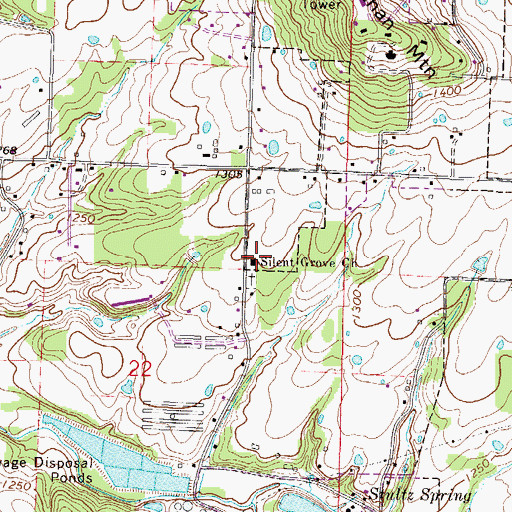 Topographic Map of Silent Grove Baptist Church, AR