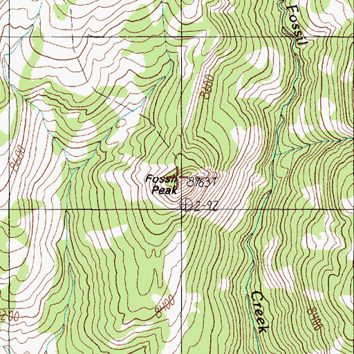 Topographic Map of Fossil Peak, MT