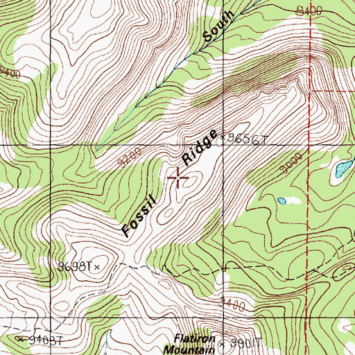Topographic Map of Fossil Ridge, MT