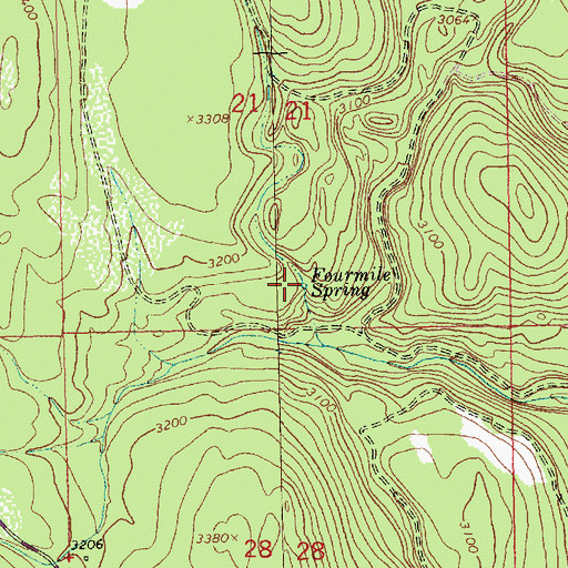 Topographic Map of Fourmile Spring, MT
