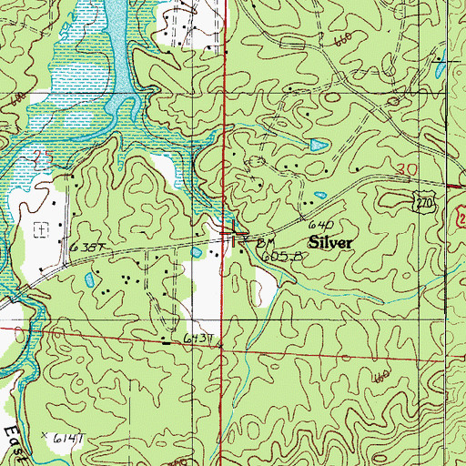 Topographic Map of Silver, AR
