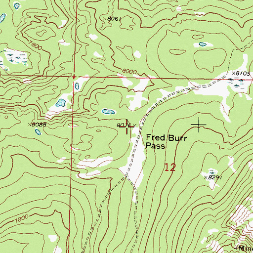 Topographic Map of Fred Burr Pass, MT