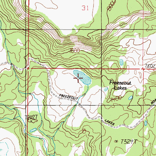 Topographic Map of Freezeout Lakes, MT