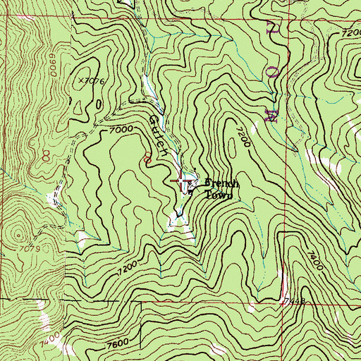 Topographic Map of French Town, MT