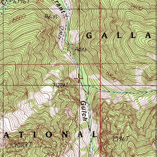 Topographic Map of Fridley Creek, MT