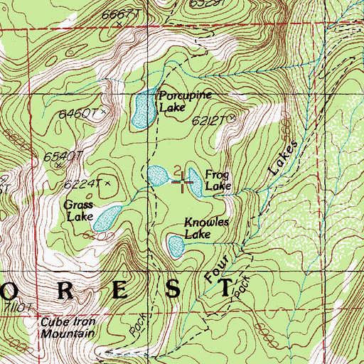 Topographic Map of Frog Lake, MT
