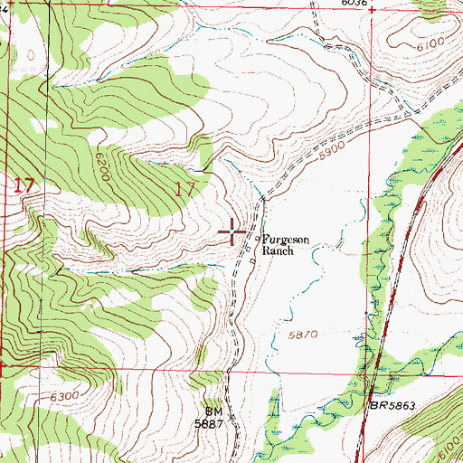 Topographic Map of Furgeson Ranch, MT