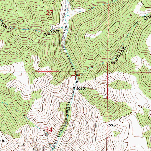 Topographic Map of Gabish Gulch, MT