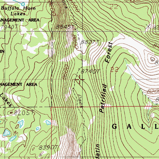 Topographic Map of Gallatin Petrified Forest, MT