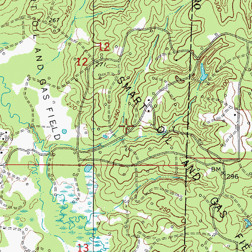 Topographic Map of Smart Oil and Gas Field, AR