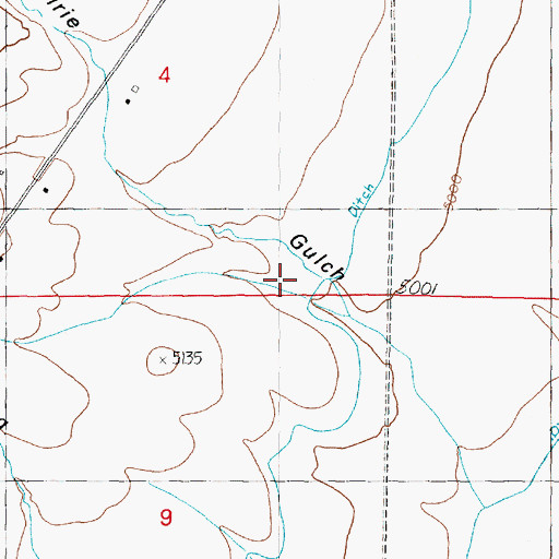 Topographic Map of Gardiner Ditch, MT