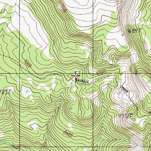 Topographic Map of Gazelle Creek Pack Trail, MT