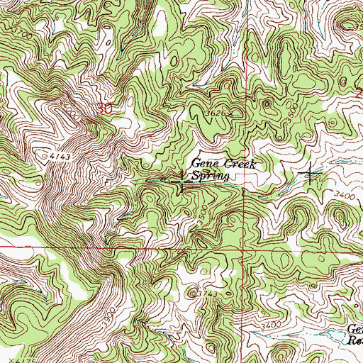 Topographic Map of Gene Creek Spring, MT