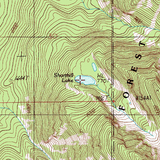 Topographic Map of George Lake, MT