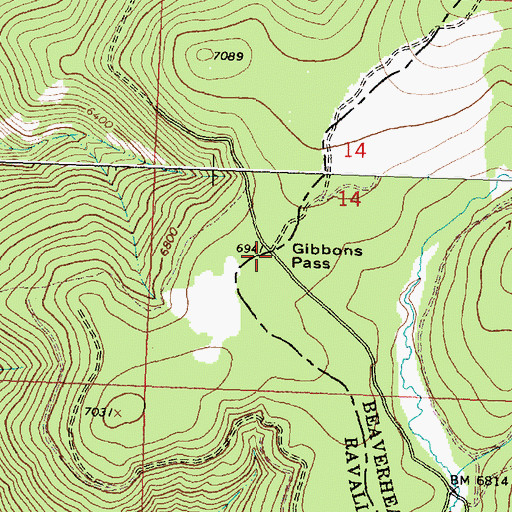 Topographic Map of Gibbons Pass, MT