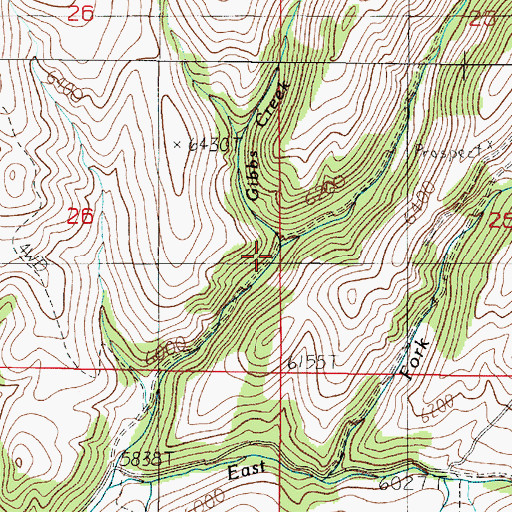 Topographic Map of Gibbs Creek, MT