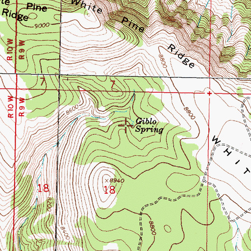 Topographic Map of Giblo Spring, MT