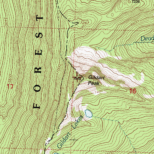 Topographic Map of Gildart Peak, MT