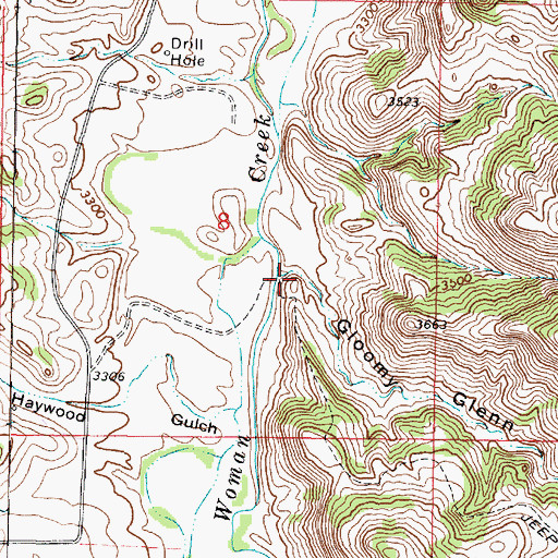 Topographic Map of Gloomy Glenn Draw, MT