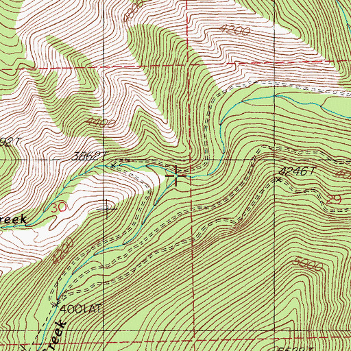 Topographic Map of Gold Creek, MT