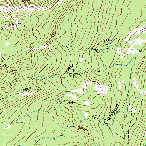 Topographic Map of Gold Creek Trail, MT