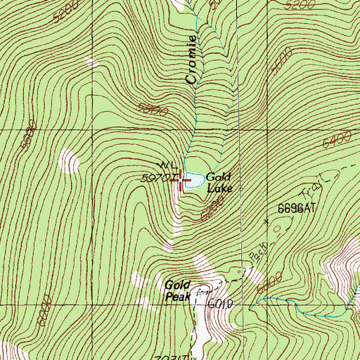 Topographic Map of Gold Lake, MT